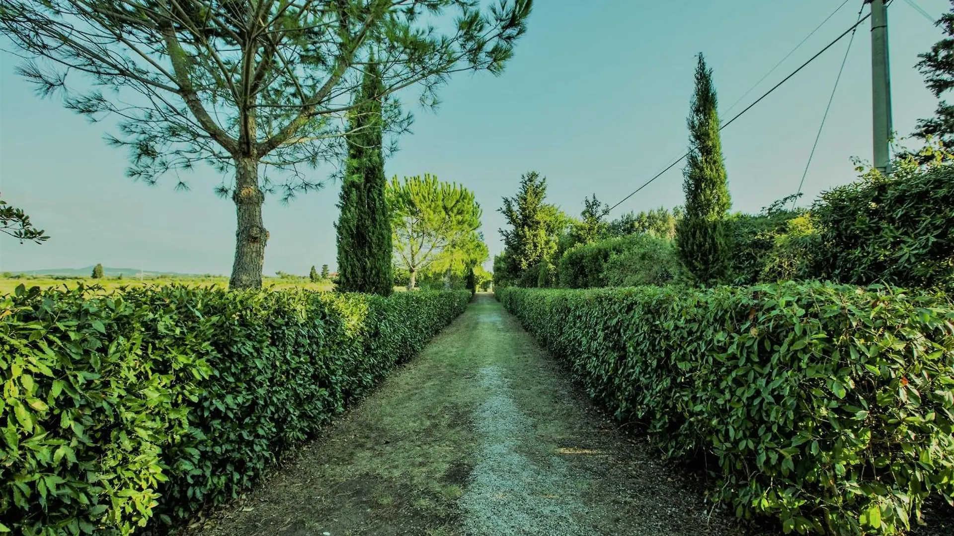 Holiday home Podere Simonetta - A9 Cecina  Italy