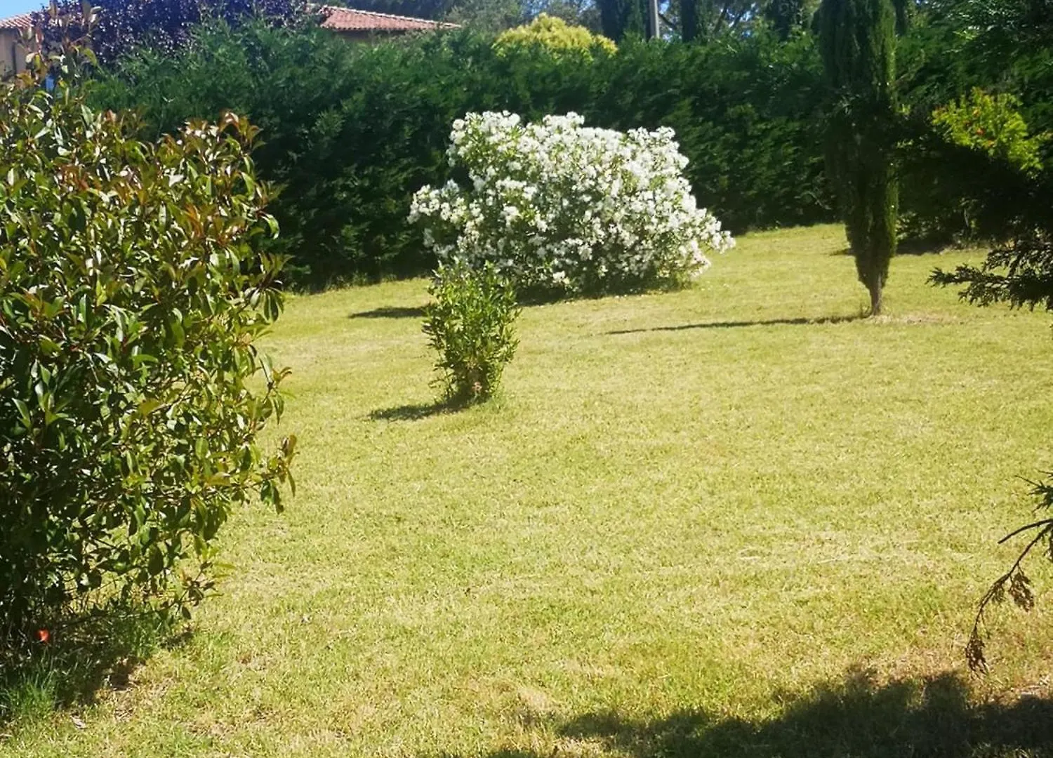 Podere Simonetta - A9 Cecina  0*, Cecina (Livorno)
