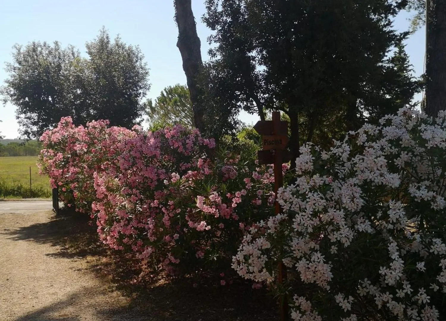 Podere Simonetta - A9 Cecina  Holiday home